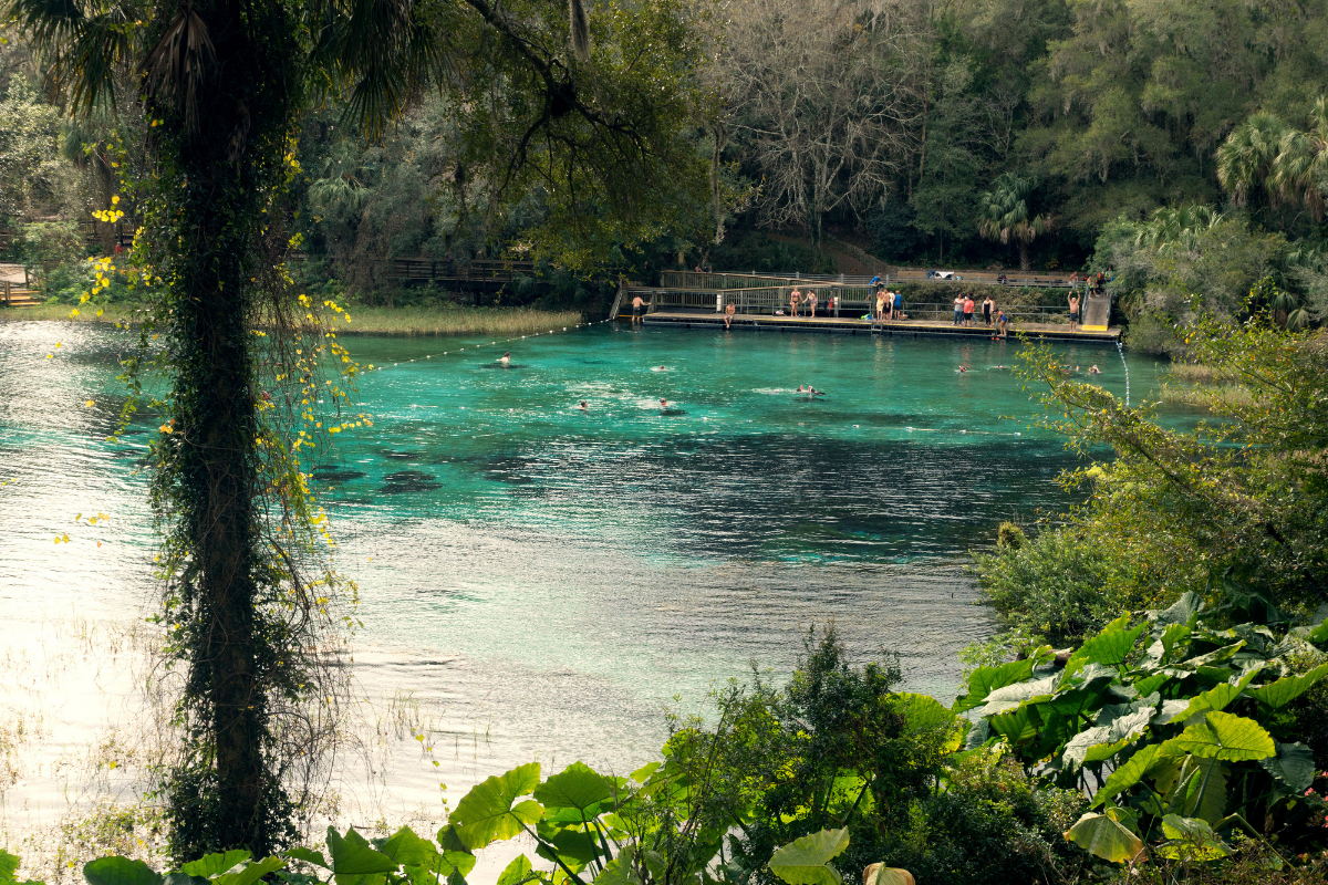 People swim at Florida's Rainbow Springs State Park