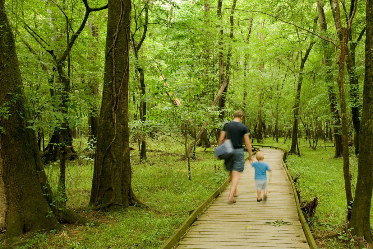 Family walks through South Carolina's Congaree National Park.
