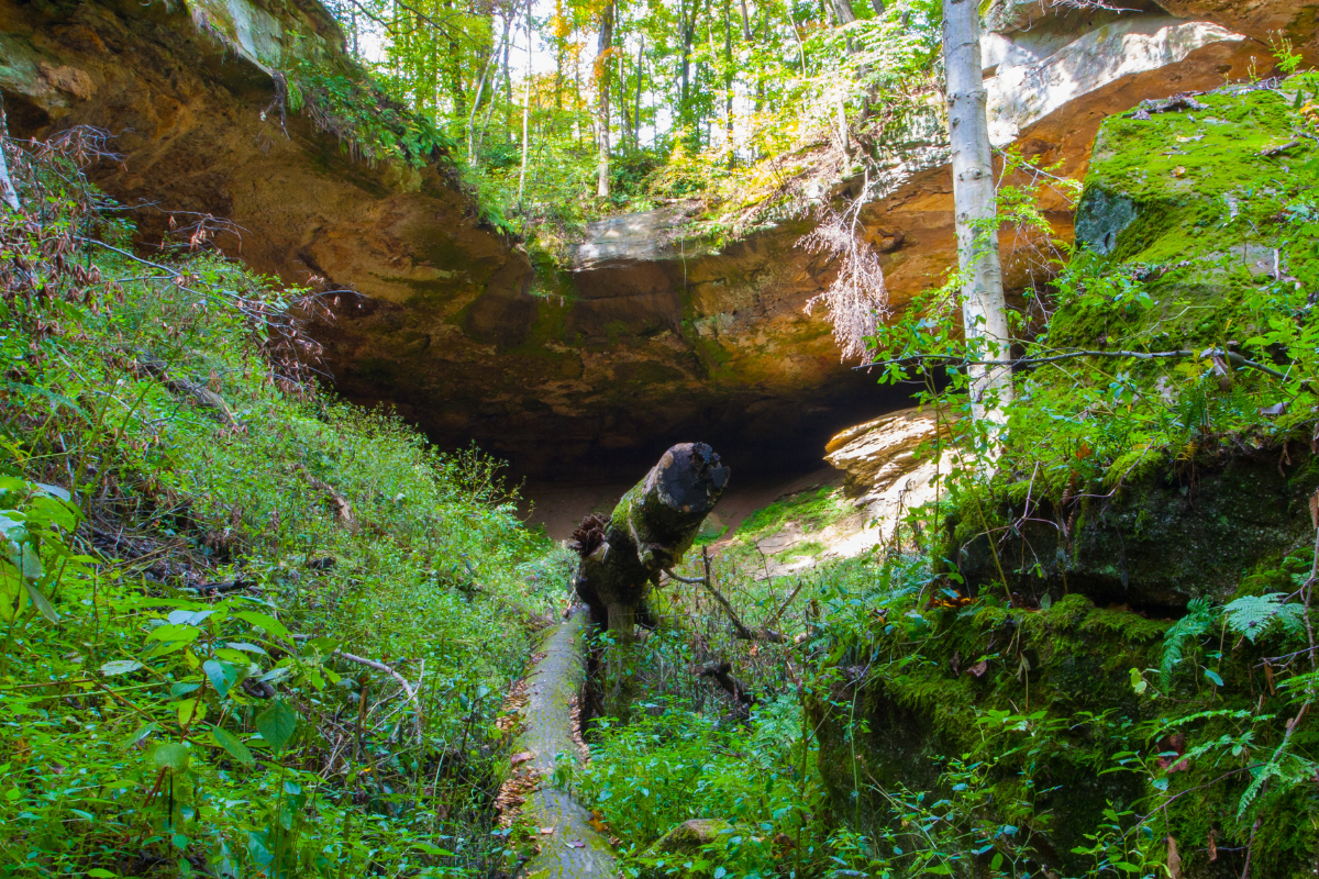 Hosak's Cave, Salt Fork State Park, Ohio