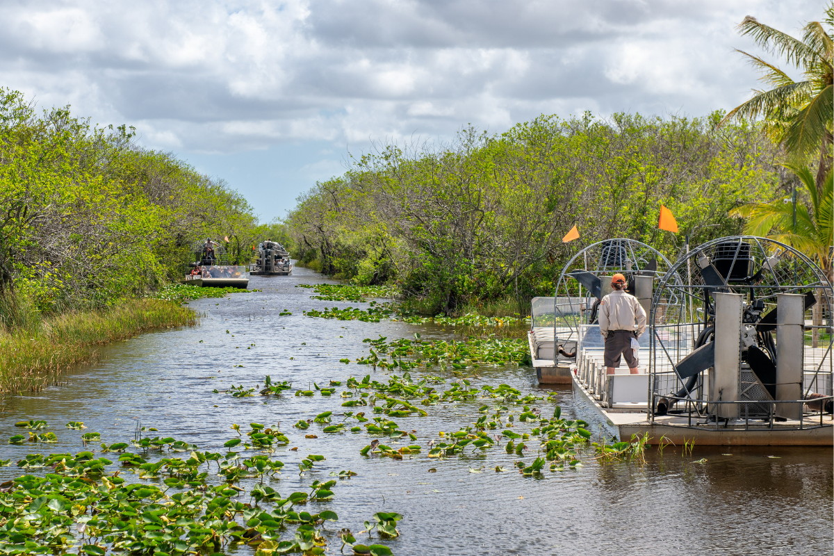 Airboats patrol Everglades National Park waters.