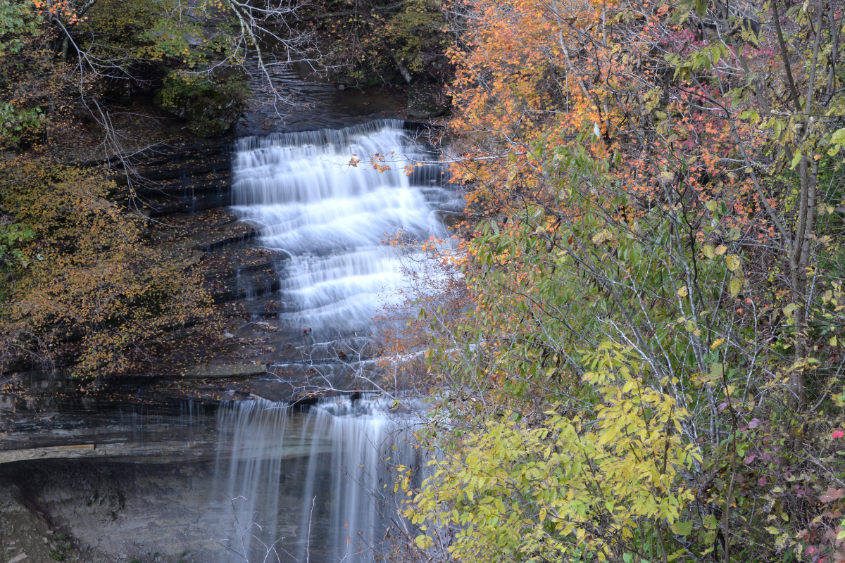 Clifty Falls State Park, Indiana. Big Clifty waterfall cascades from behind foliage