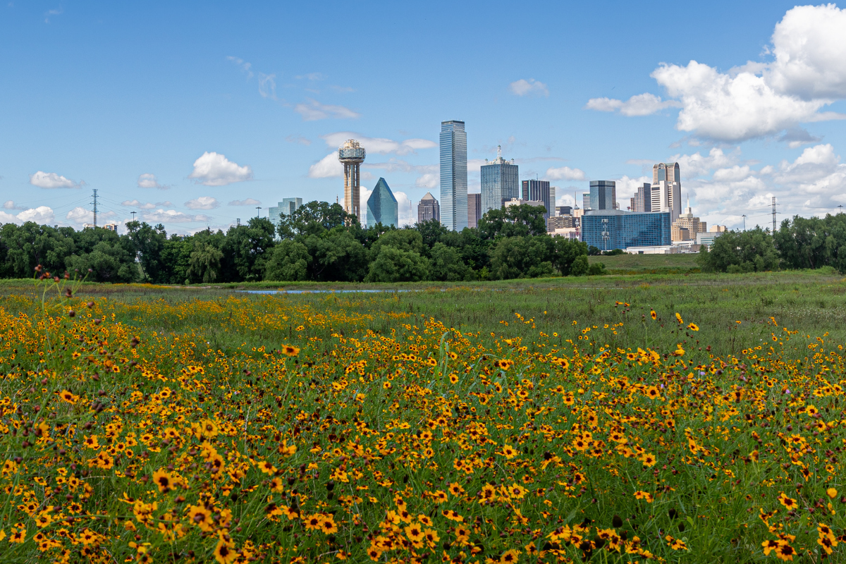 day trips from dallas