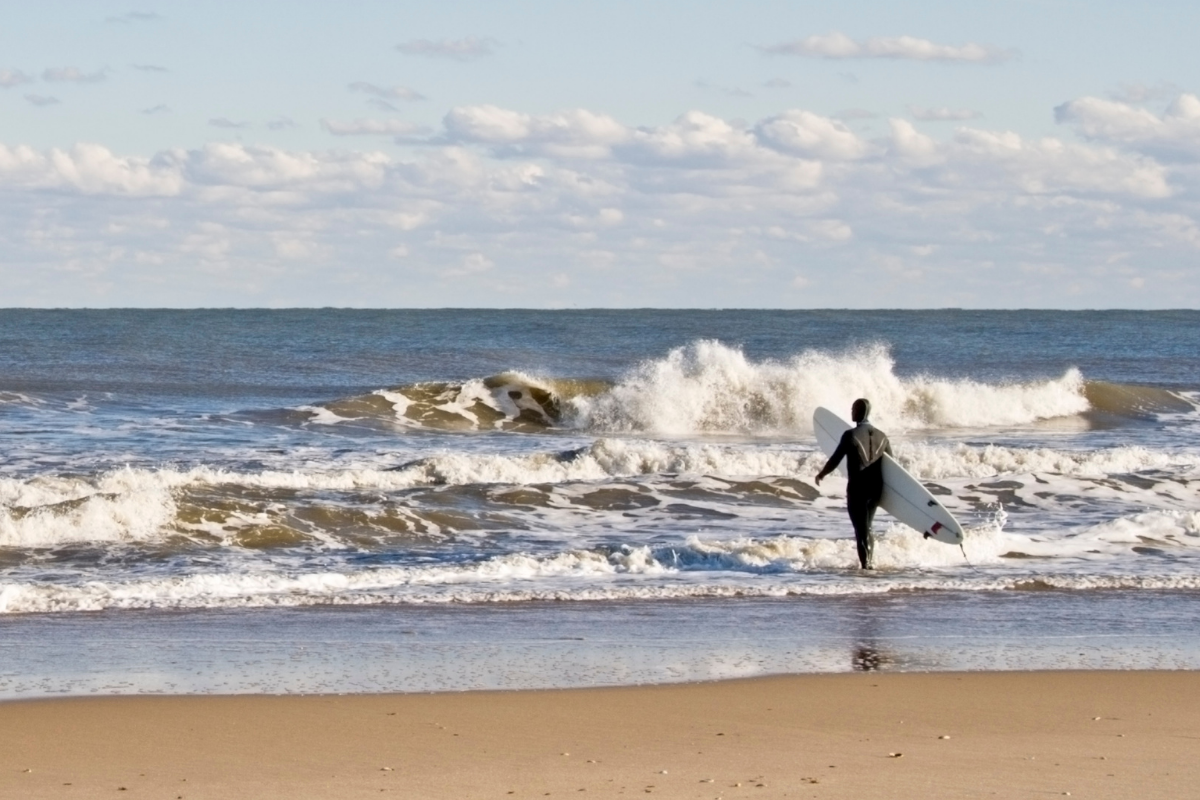 Surfer heads out into the chilly November Atlantic waters off Cape Hatteras.