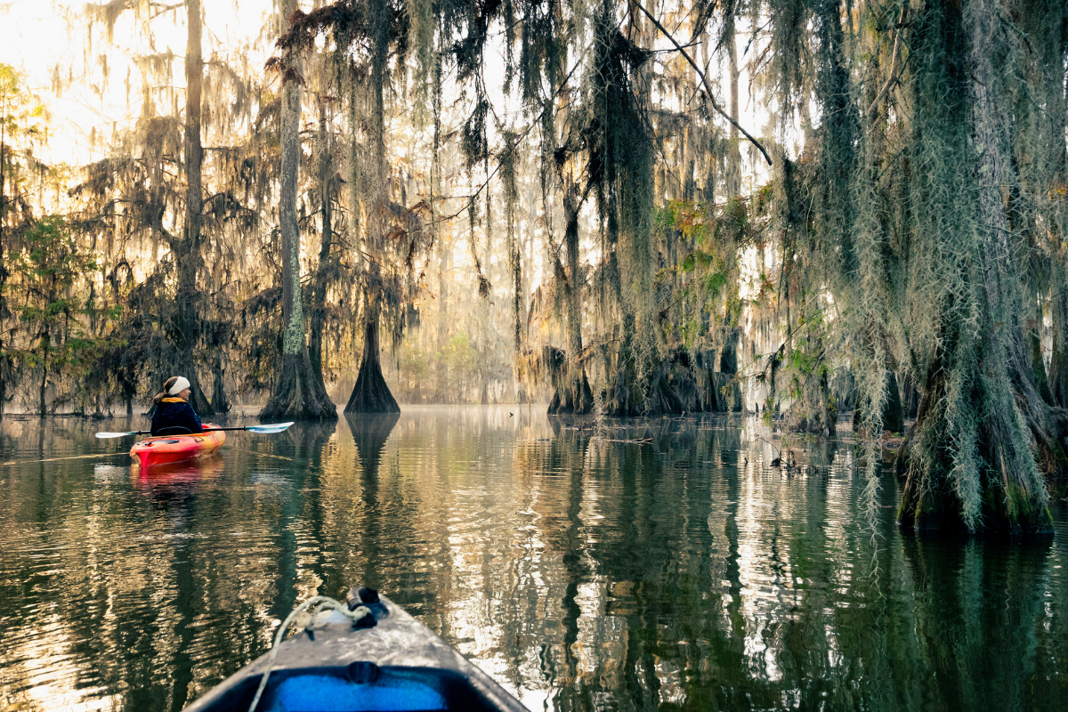 day trips from new orleans