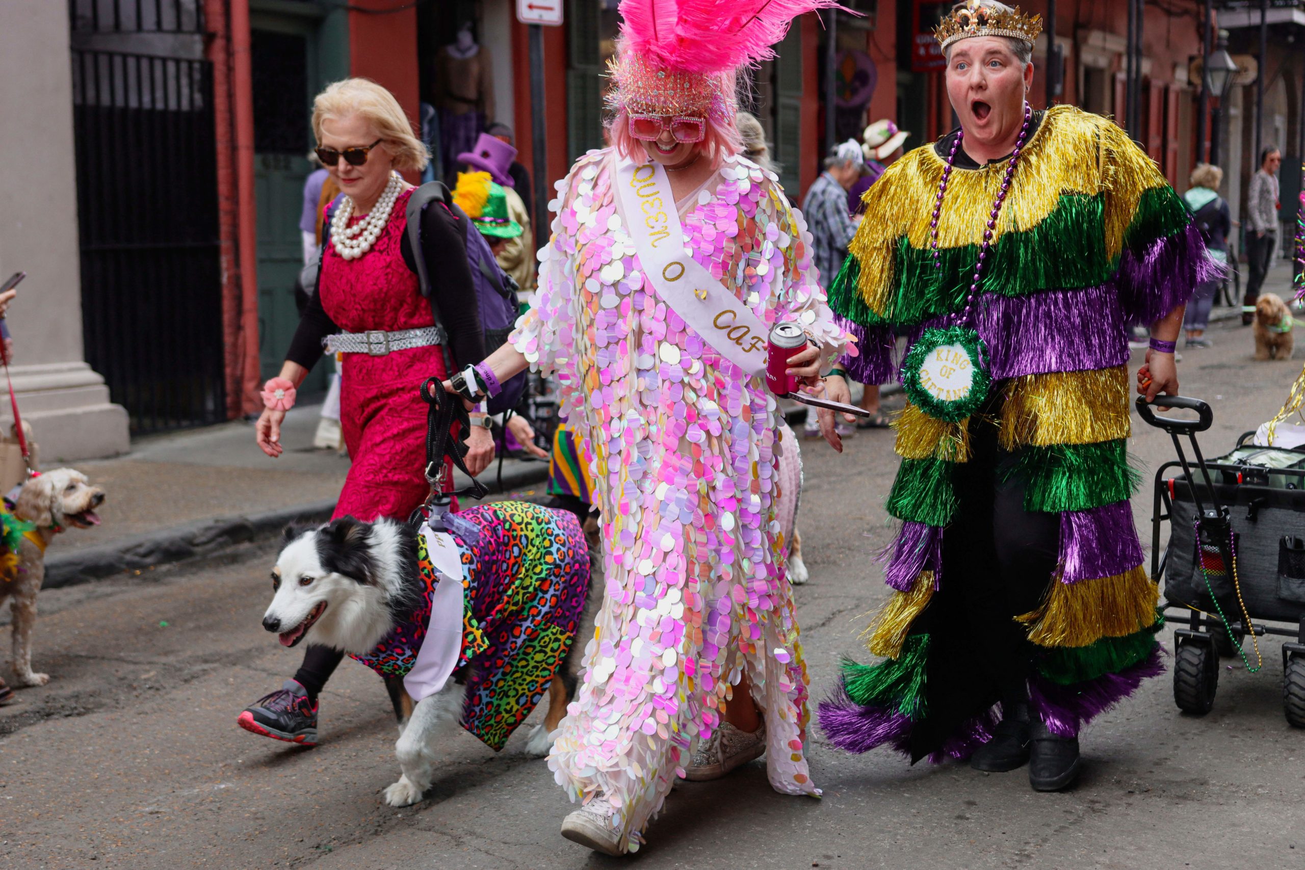 Costumed Mardi Gras revelers